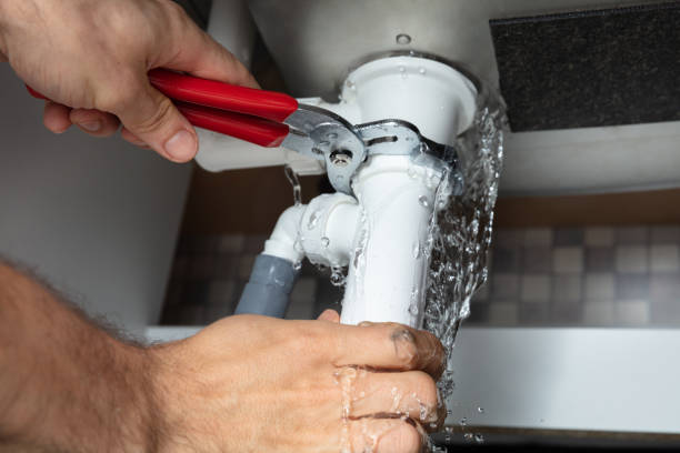 Best Flood damage cleanup  in Sorrento, LA