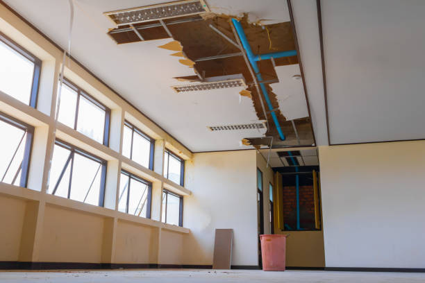 Best 24/7 water damage repair  in Sorrento, LA