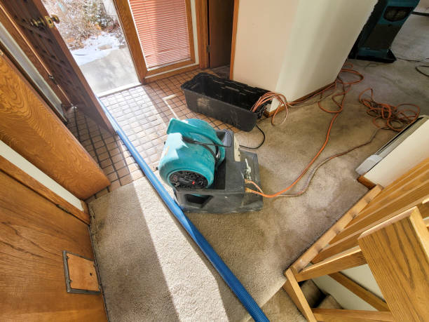 Best Water damage contractors near me  in Sorrento, LA