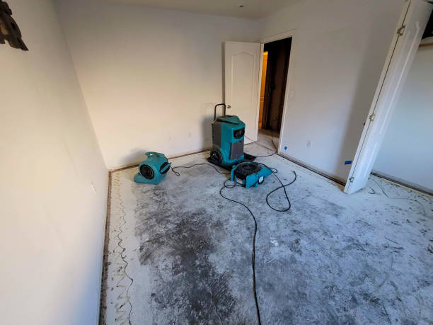 Best Water damage restoration near me  in Sorrento, LA
