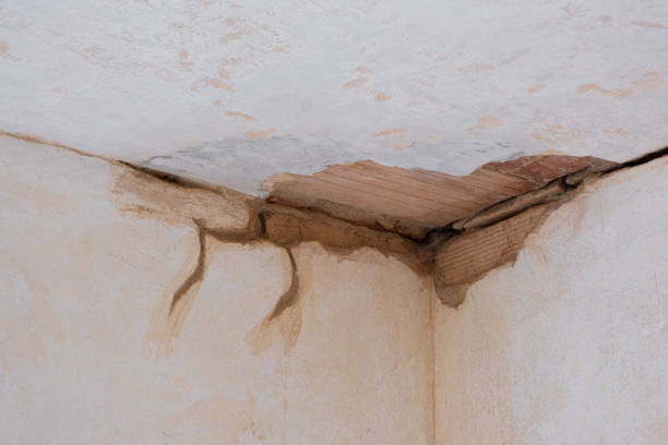 Best Flood restoration services  in Sorrento, LA