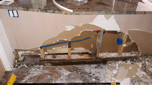 Best Water damage restoration company  in Sorrento, LA