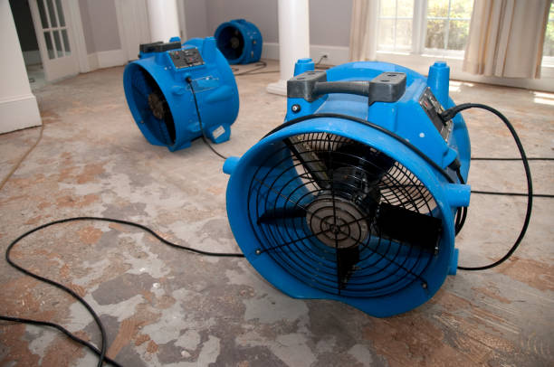 Best Residential water damage restoration  in Sorrento, LA