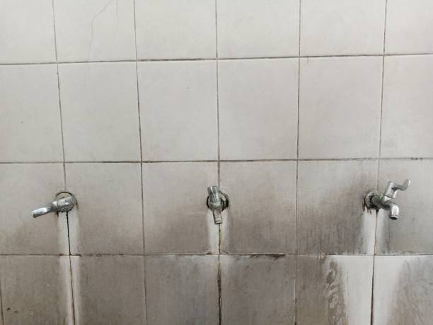Best Water damage restoration near me  in Sorrento, LA