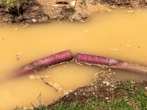 Best Sewage cleanup and water damage restoration  in Sorrento, LA