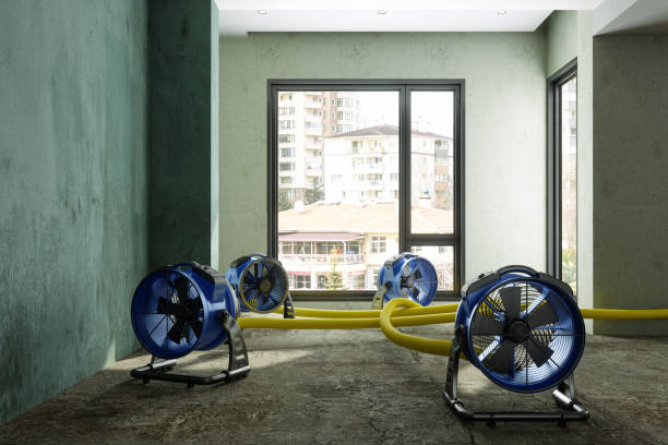  Sorrento, LA Water damage restoration Pros